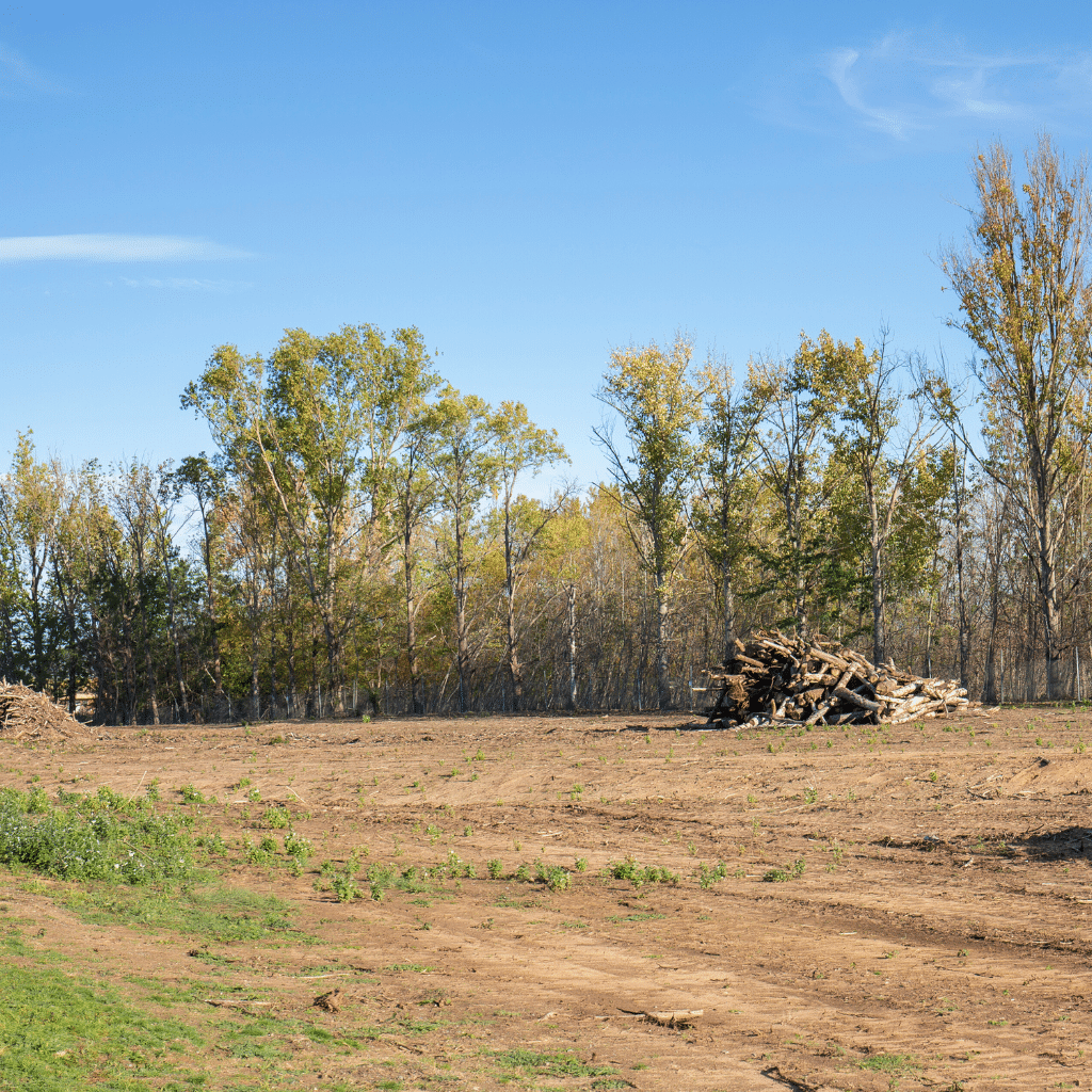 Cleared land with a pile of logs and trees in the background, illustrating professional land clearing services by ZZ Chop Tree Care in Ottawa.