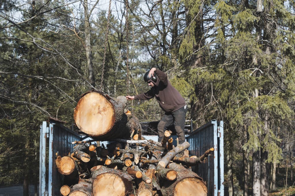 Worker loading large logs onto a truck amidst trees, demonstrating tree removal services by ZZ Chop Tree Care in Ottawa.