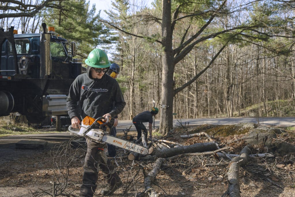 Crew members from ZZ Chop Tree Care using chainsaws for tree trimming and removal, with a work truck in the background, in a wooded area near Ottawa.