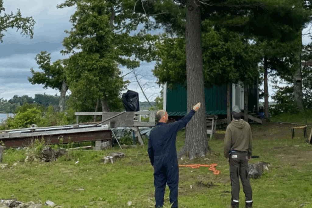 Two tree care professionals assessing a tall tree near a waterfront property, discussing tree maintenance and safety, with a dock and green building in the background.