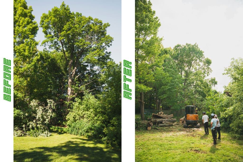 Before and after image showcasing tree trimming and pruning services, highlighting a transformed yard with cleared overhanging branches and improved visibility, featuring workers and equipment in the after scene.