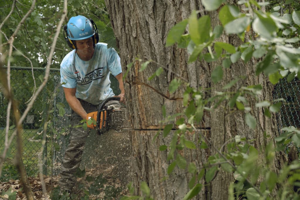 Tree care professional using a chainsaw to cut a tree, surrounded by foliage, demonstrating ZZ Chop Tree Care's tree removal services in Ottawa.