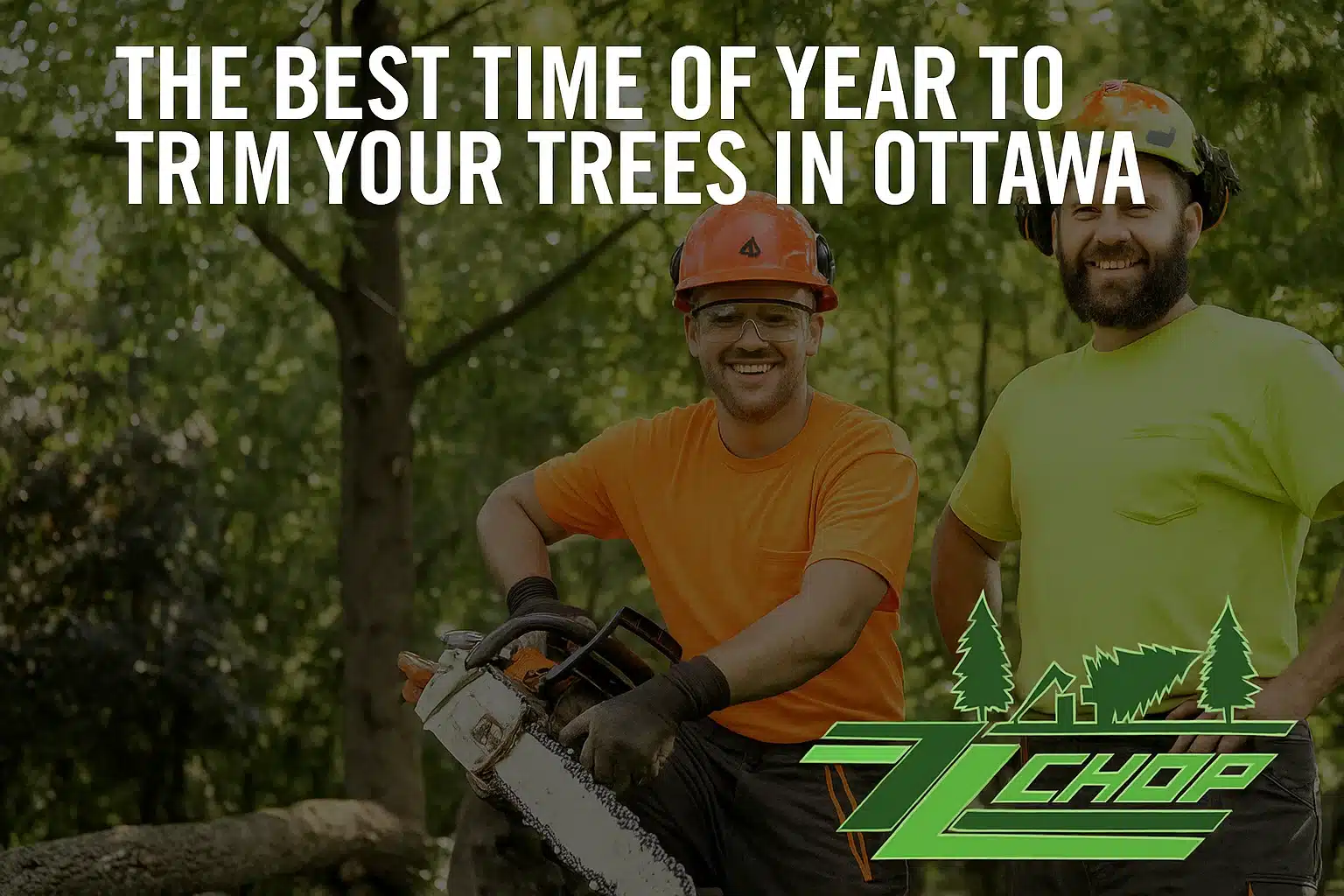How Overgrown Trees Can Damage Your Property