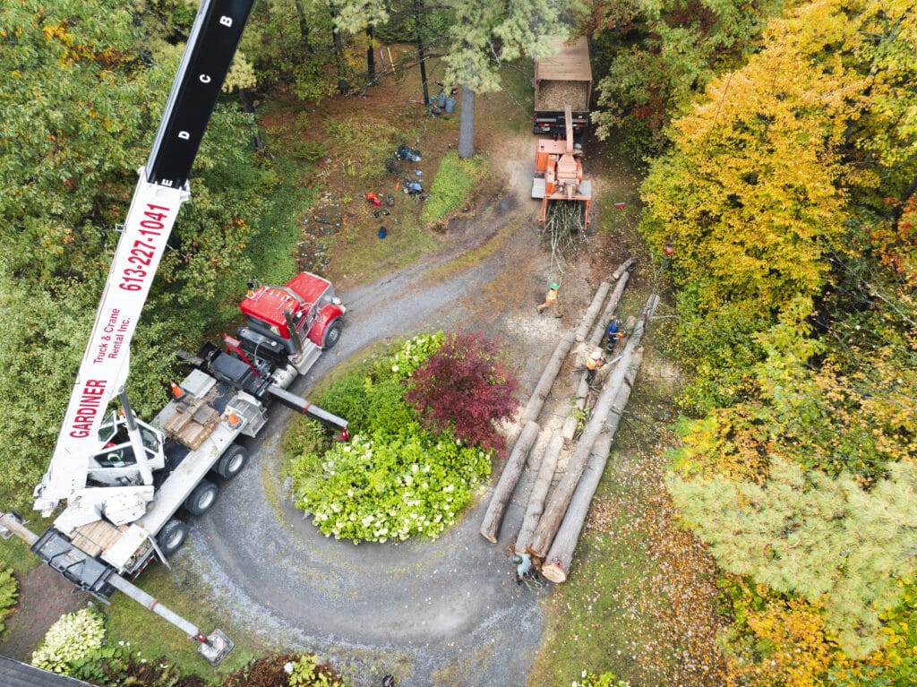 Aerial view of ZZ Chop Tree Service at a tree removal site in Ottawa, featuring a red truck and crane, wood chipper, and workers processing logs amidst vibrant autumn foliage.