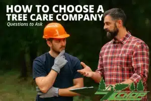 Two men discussing tree care company selection, one wearing an orange hard hat and gloves, with text overlay "How to Choose a Tree Care Company: Questions to Ask," relevant to tree care services and consumer guidance.